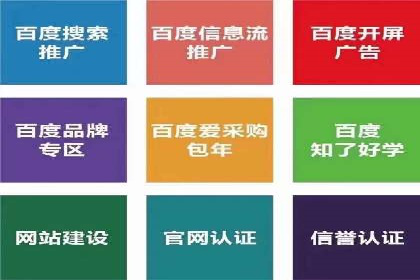案例分析：托管SEM竞价助力电商旺季促销